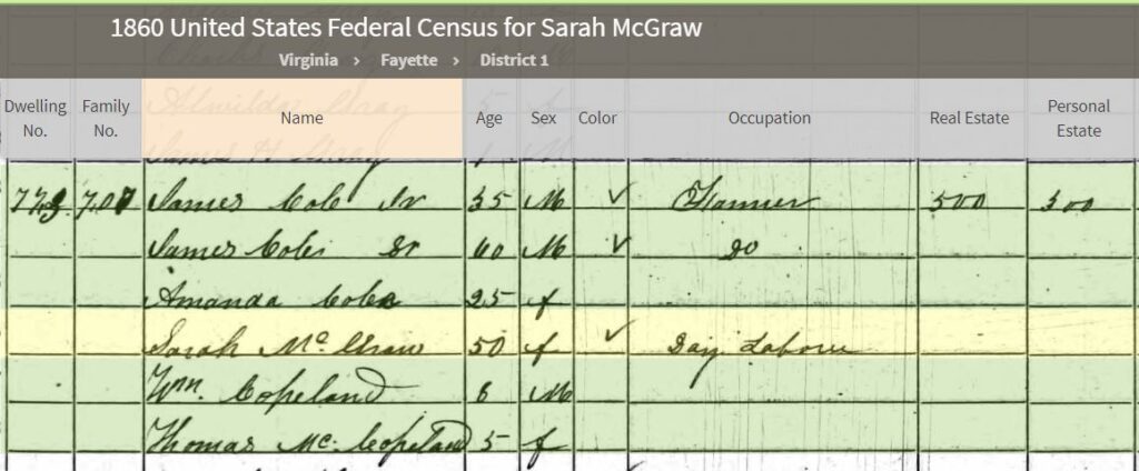 1860 Fayette Co Census - Sarah Johnson
