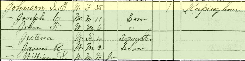 1880 Census Putnam County, Sarah E Johnson